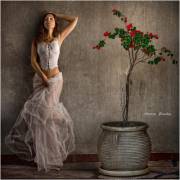 Rose Tea With Milk...