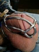 Every Time I Put The Cage Back On, I Remember That It Feels Better On Than Off.