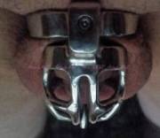 Cuck's Lori’s Tube #18A, 1 7/8 Inches Long. No Erections, No Removal. Game Over ...