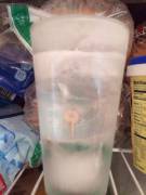 Wife's Away. This Is What She Did With My Key.