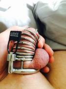 Wife's Away. I'm Not Allowed To Play. Couldn't Be Happier.