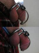 Testing The Effectiveness Of Urethral Chastity (Flaccid And Hard Pic)