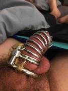 A Sir Decided It Was Time To Lock Me Up. It's My First Night Caged And I Can't Wait ...