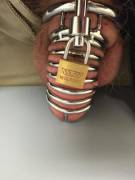 Horny And Filling Up My Cage At Work. Day 22... Only 8 To Go [Story In Comments]