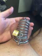 Love When I Scroll Through The Chastity Subreddit And Have My Dick Start The Usual ...