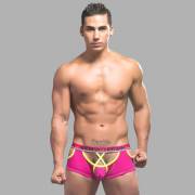 What Do You Think Of Topher Dimaggio ?