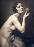 Additional Developments On Scholar Noglogwyg's Findings