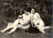 A Picnic In The Bush