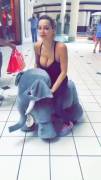 Riding An Elephant (Gif)