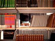 Brb, Heading To The Stacks