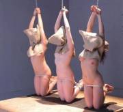 Three To Choose From...