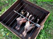 Gee, I Would Love To Have One Of These In My Backyard