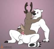 Riding The Bear [Koba] (Gif)