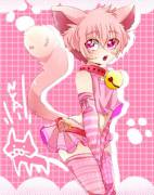 Good Kitty! (Read Comments)