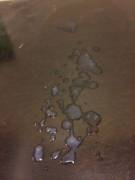 Enough To Cover Your Face Cumpletely