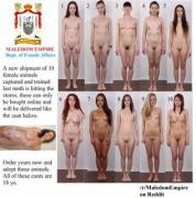 More Feminist Animals Going For Sale