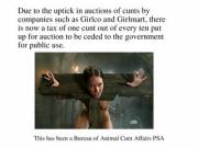 A Public Announcement, In Light Of Recent Events.