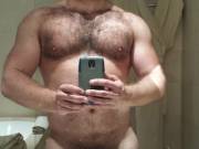 Anyone Like Furry, Muscular Pecs?