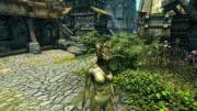 My New Skyrim Character [Argonian][Female]
