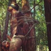 Just A Walk In The Woods With A Friend ;)