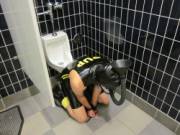 Piss Pup In Public Toilet