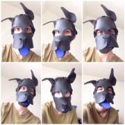 The Many Expressions Of Pup Play
