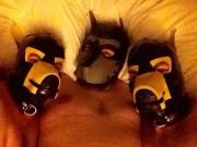 Leather Pup Between Rubber Pups!