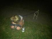 Taking The Dog For A Walk