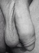 My Black And White Softie