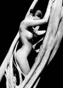 By Gavin O'neill [Brunette, B/W]