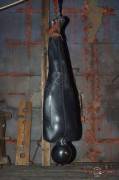 Suspended Upside Down In A Latex Body Bag And Head In An Inflatable Latex Hood
