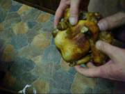 Sex With A Hot Chick [Xpost From /R/Flyingfuck]