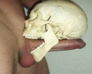 Possibly Fake Skull.