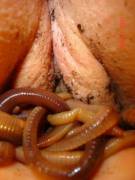 [W]Or[M]S And A Slug.