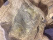 So [F]Un I Played In Them Twice &Amp;Amp;Lt;3 [X-Post R/Lovinglovely]