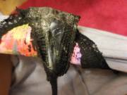 After Stuffing, Playing And Just Wearing...yeah They Got Dirty