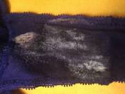 Lost My Bus Card And Walked 6 Miles Across Town -- The Heat Made Such A Mess Of My ...