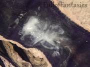 ! Looks Like Cream Is Back On The Menu, Boys ;)