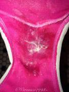 My Panties Got Juicy In Record Time Today