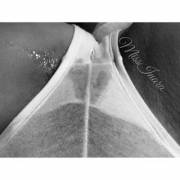 Now That Is A Cream-Pie!