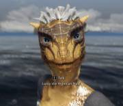 Have You Read The Book?