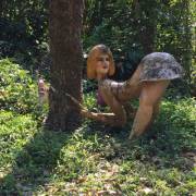 Found Along Road In Thailand (X-Post From /R/Wtf/)