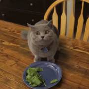 Mrw My Friend And I Are Talking About Our Age Difference And She Says &Amp;Quot;I'm ...