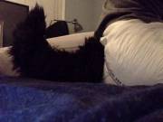 Padded With A Fluffy Tail For Snuggles &Amp;Amp;Lt;3