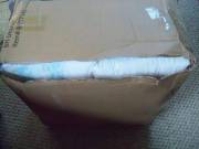 Im Not Sure If Its Bambino's Boxes Or Ups, But This Is Not What I Would Call Discreet.