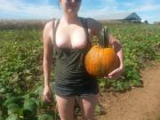 Join Me [F]Or A Walk In The Pumpkin Patch ?