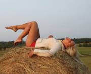 On Top Of The Haystack