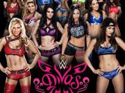 [Xl] Wwe Divas (20+ Divas Included, All With Individual Joips)
