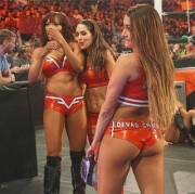 Nikki Bella Joi (1St)