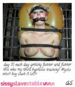 Sissy Slave Stable (Album) (Sissy) (Bdsm) (Cuck) (Incest)